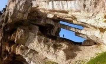 玉米红豆豆浆 黄豆30克 玉米槮60克 红小豆20克 白糖适量